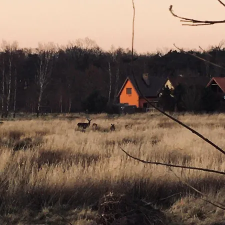 Pogodna Hébergement de vacances *